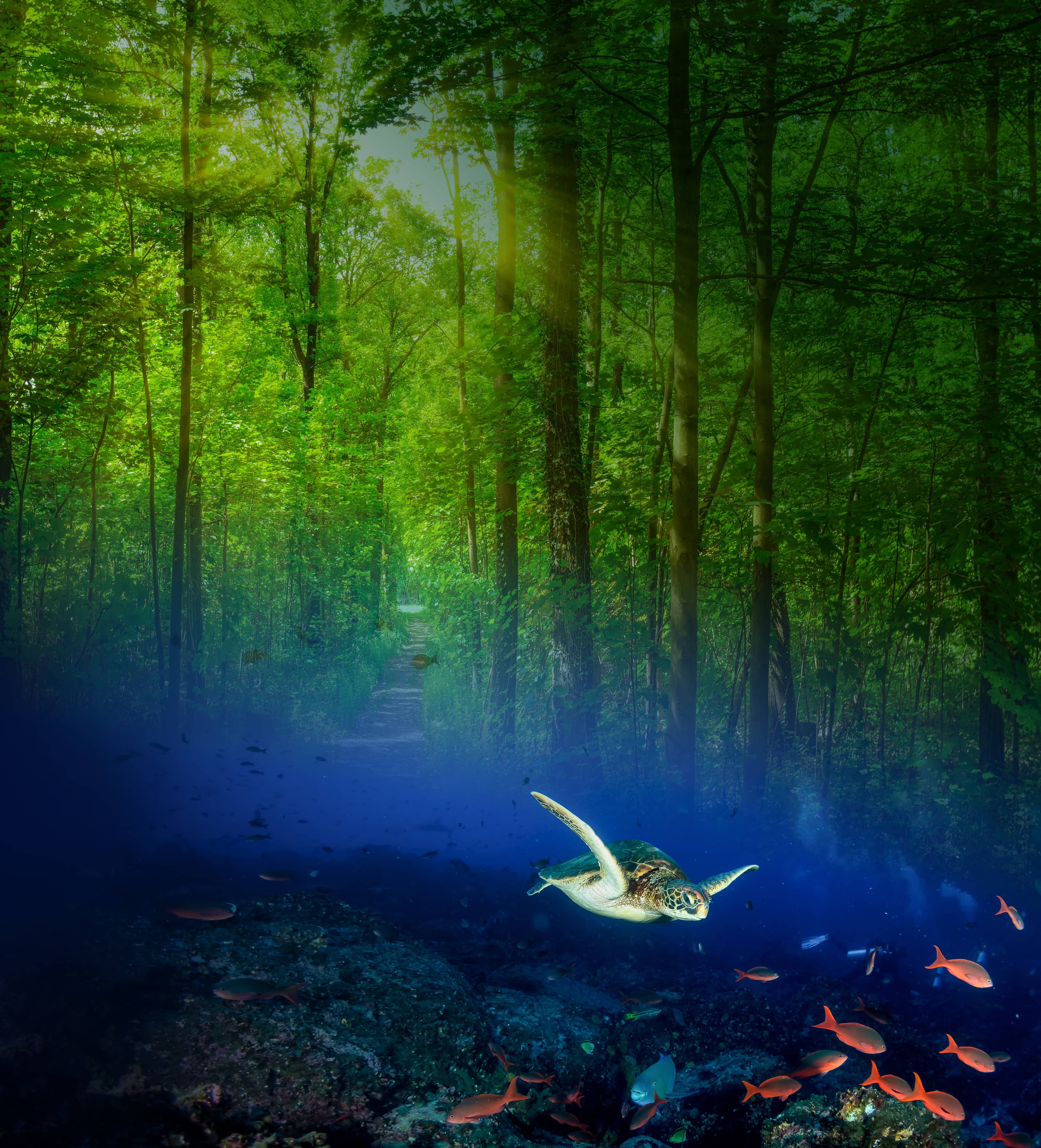 home-microbial-ecosystem